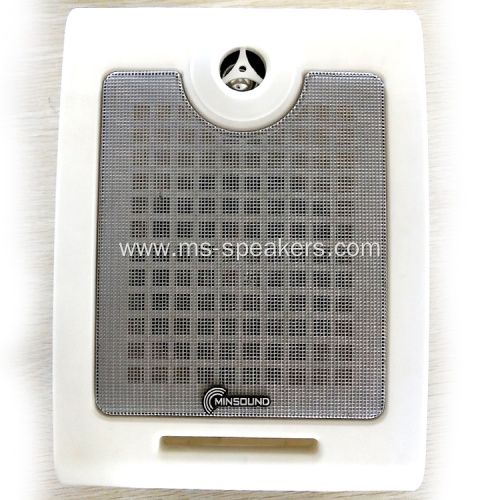 6.5'' Premium Portable HiFi Wall Mounted Speaker